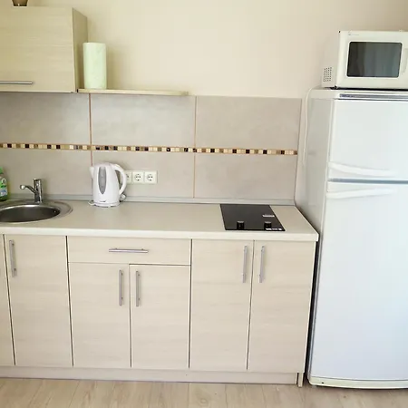 帕鲁里奥维拉酒店 *