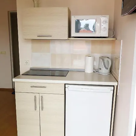 帕鲁里奥维拉酒店 *